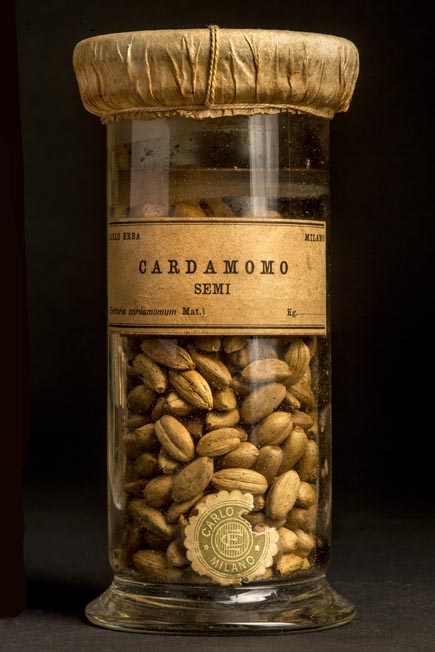 CARDAMOMO -semi